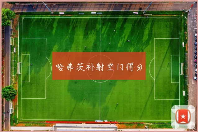 哈弗茨补射空门得分