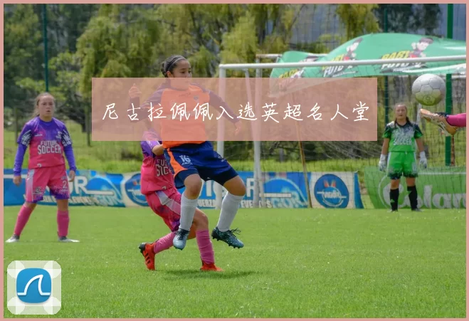 尼古拉佩佩入选英超名人堂