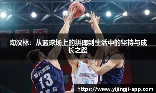 陶汉林：从篮球场上的拼搏到生活中的坚持与成长之路